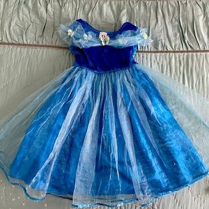 Cinderella costume